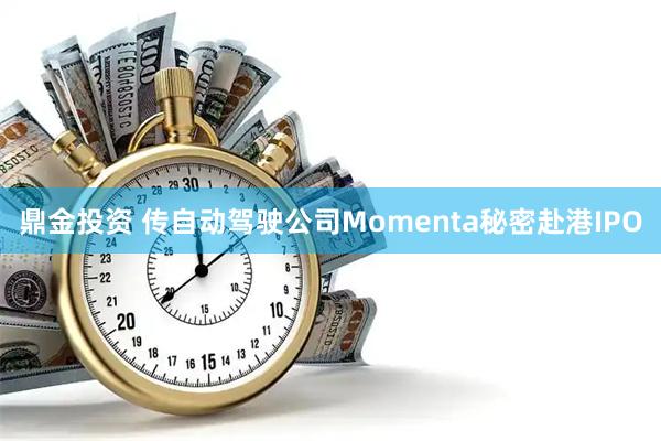 鼎金投资 传自动驾驶公司Momenta秘密赴港IPO