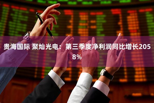 贵海国际 聚灿光电：第三季度净利润同比增长2058%