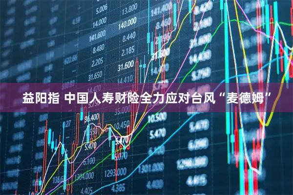 益阳指 中国人寿财险全力应对台风“麦德姆”