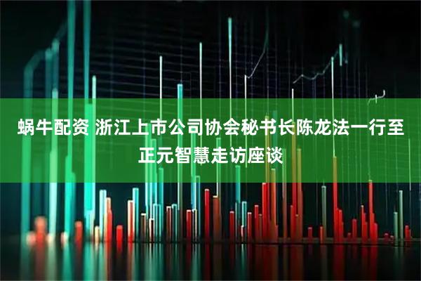 蜗牛配资 浙江上市公司协会秘书长陈龙法一行至正元智慧走访座谈